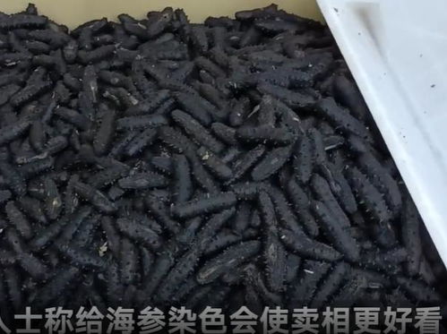 觸目驚心 大連海產品加工廠 2個食品黑科技曝光,注意識別