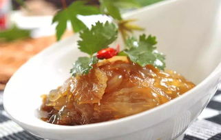 海中可愛的 果凍 ,碰碰就會致命哦