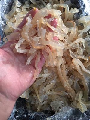 [海蜇批發]江蘇連云港贛榆區海蜇 8.00元/斤海蜇絲 海蜇 一 _ 一畝田