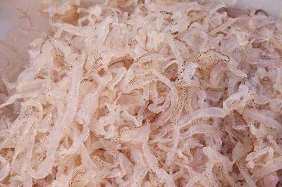 常吃的海鮮(攝影科普-第一部分)