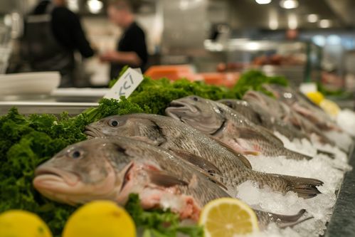 海洋珍品 銀鱈魚與海蜇的食材魅力與攝影藝術